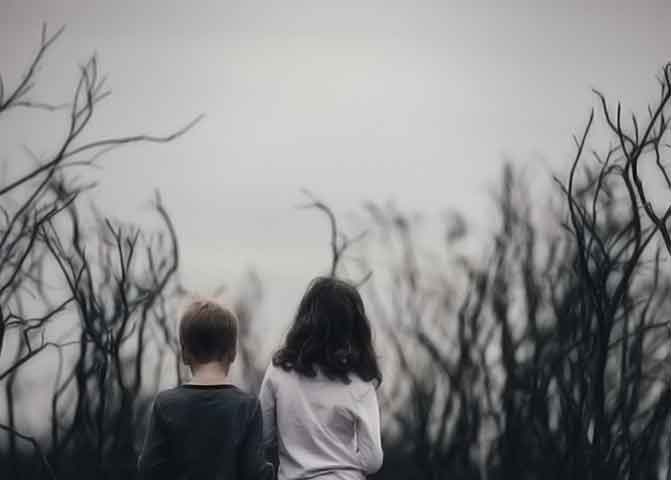 专业版本的器测压文章